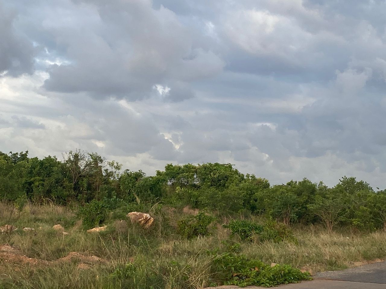 Serviced Land for Sale