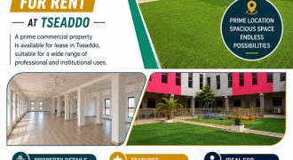 COMMERCIAL SPACE FOR RENT AT TSEADDO